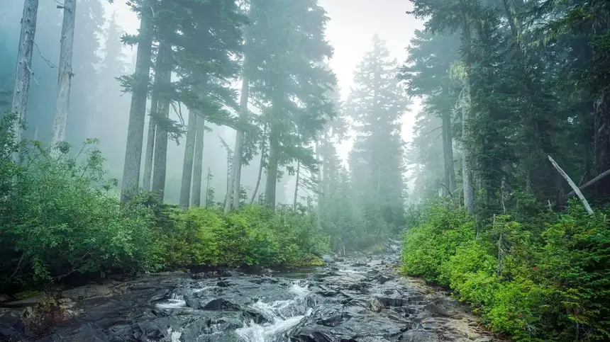 National Parks
